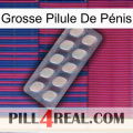 Grosse Pilule De Pénis 08
